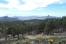 Mirador pico de los pozos